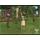 PC hra The Sims 2 Free Time 