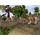 PC hra Wildlife Park 2 + Wildlife Park 2: Crazy