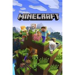 PC - Minecraft ESD