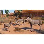 Planet Zoo Arid Animal Pack