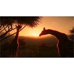 Planet Zoo Premium Edition