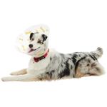 Plastový obojok Buster Bone žltý 20cm