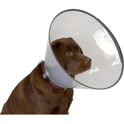 Plastový obojok Buster Comfort Collar 15 cm
