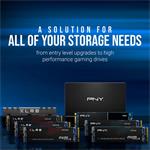PNY SSD CS1030 500GB
