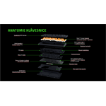 Razer BlackWidow V4 75%, USA