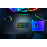 Razer BlackWidow V4 Low-profile Tenkeyless HyperSpeed (Yellow Switch) US
