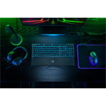 Razer Ornata V3 X, USA