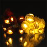 RETLUX RXL 494 čiapky na girlandy 20 LED WW