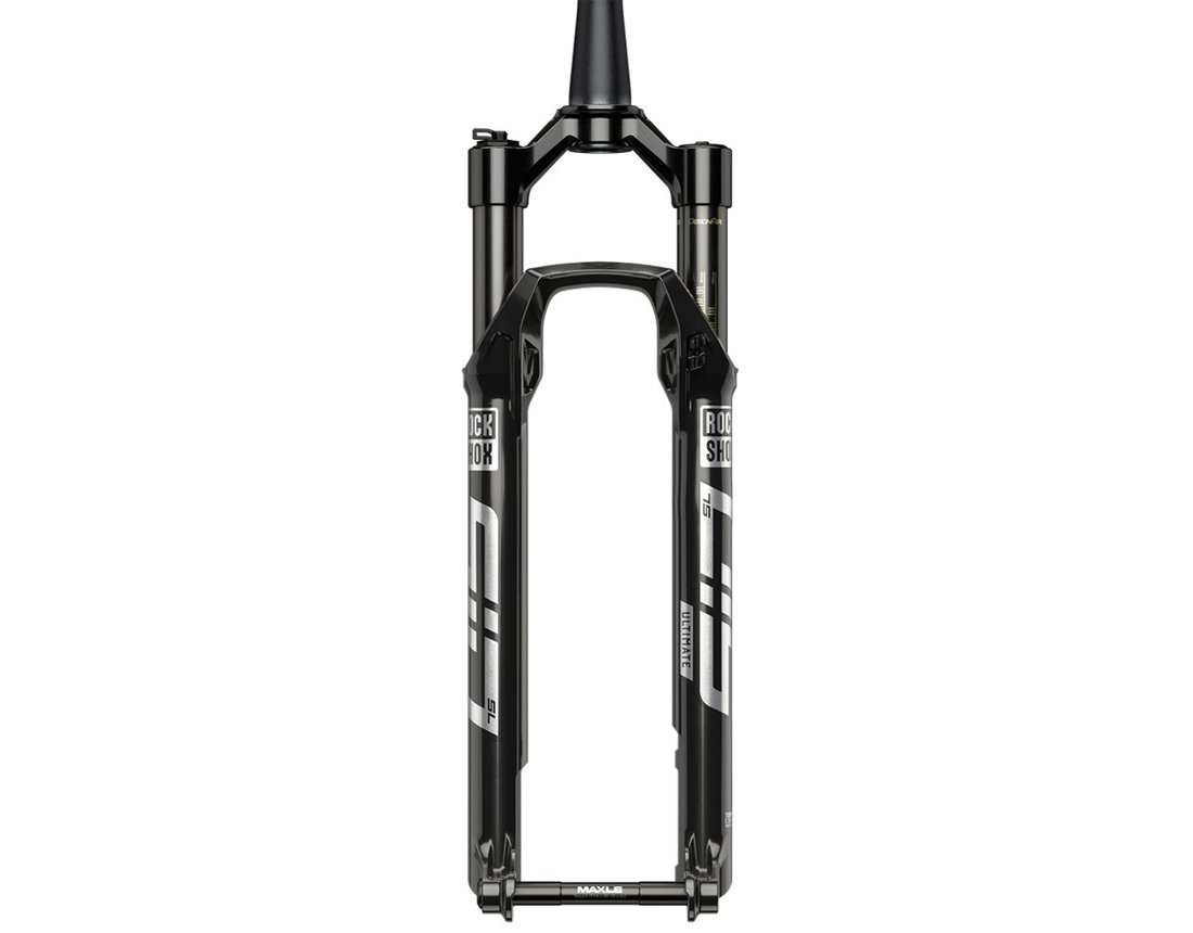 rock shox sid brain 29