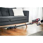 Rowenta RH6878WO X-Pert 6.60 Animal