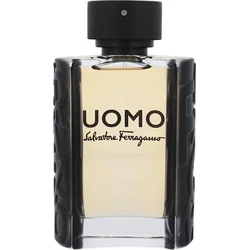 Salvatore Ferragamo Uomo EdT 100ml 8052086371804