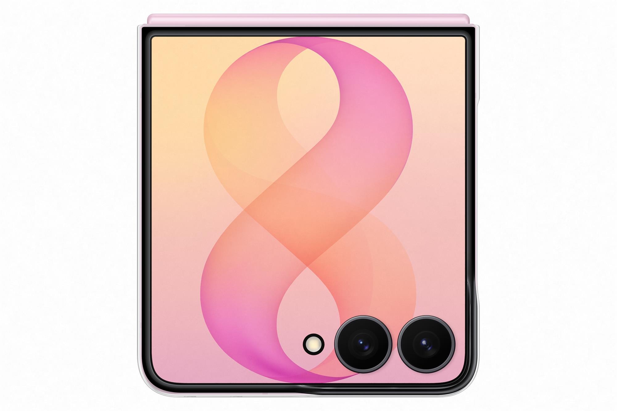 Samsung Priehľadný zadný kryt pre Galaxy Z Flip8, transparentný