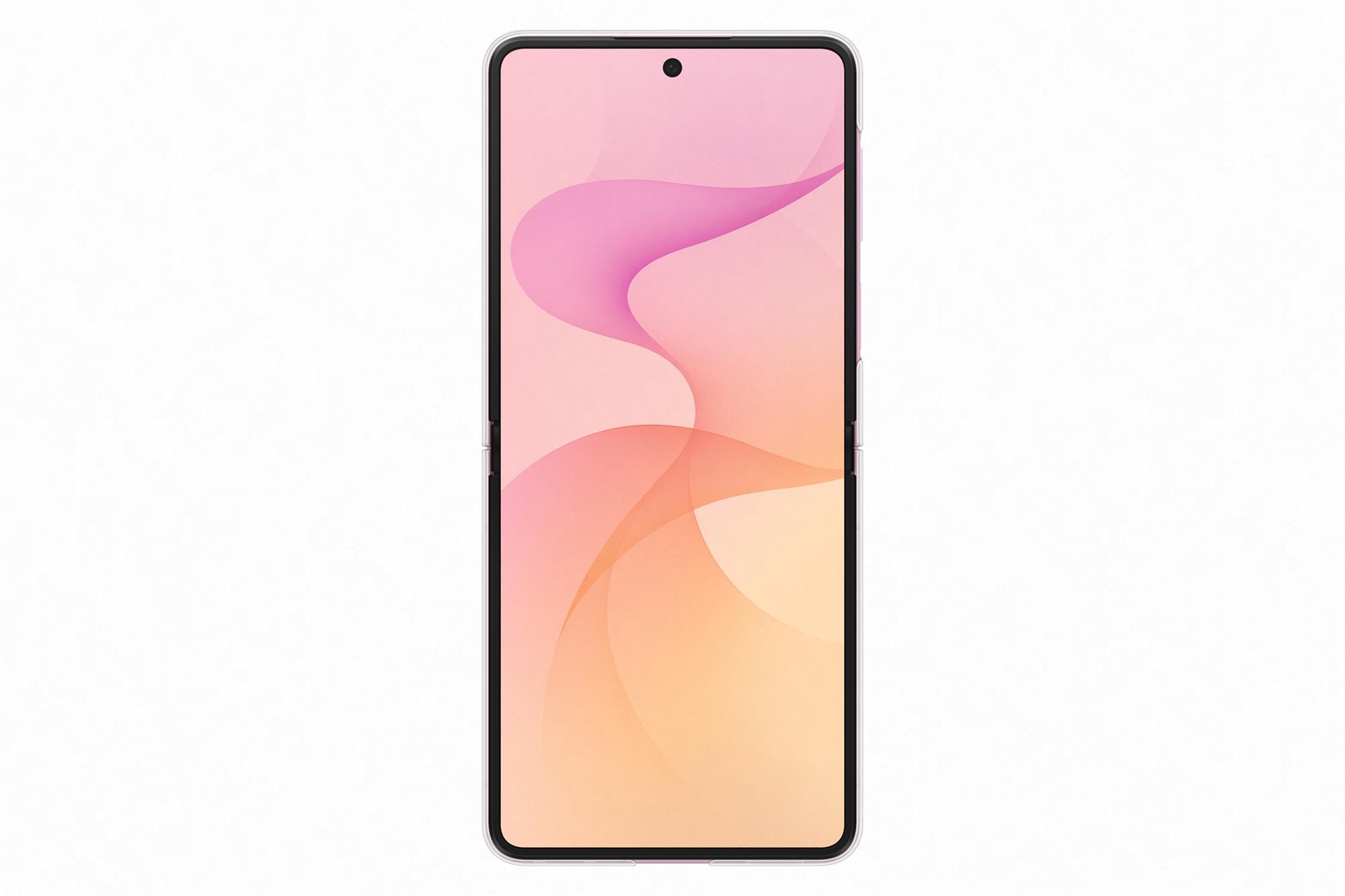 Samsung Průhledný kryt s magnetem pro Galaxy Z Flip8 transparentní