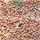 Sencor SBS 2302SN