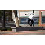 Session Skate Sim Schoolyard