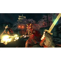 Shadow Warrior Special Edition