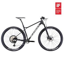 SILVERBACK 2021 29" Superspeed XT 12 - 20,5"/L - raw carbon/ arctic white/ aston black