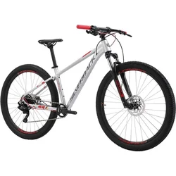 SILVERBACK 2021 Stride Sport - Silver gloss/Watermelone red - 20"/XL
