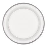 Solight LED stropní světlo kulaté Treviso, 48W, 2880lm, stmívatelné, dálkové ovládání, šedá