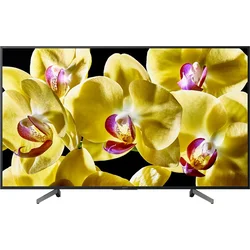 Sony 49" KD-49XG8096
