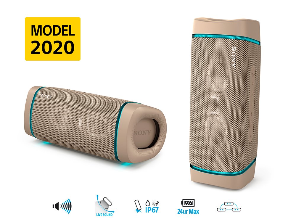 Sony SRS-XB33, sivá SRSXB33C.CE7