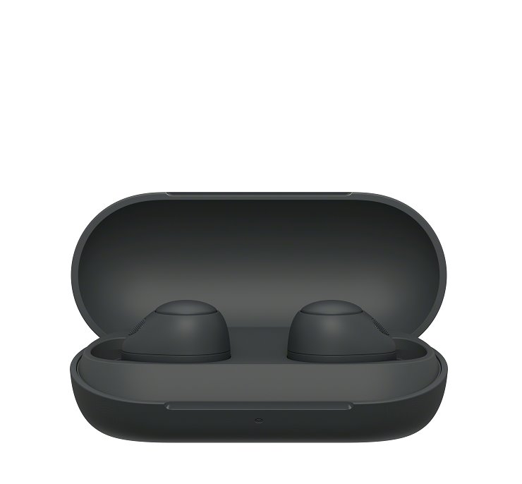 Sony True Wireless WF-C700N, černá