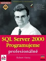 SQL server 2000 - programujeme profesionálně