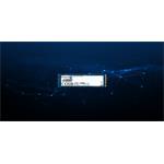 SSD disk Kingston DC2000B 240GB NVMe Enterprise