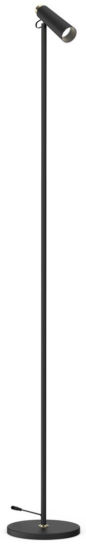 Stojacia lampa LED Immax TIT, čierna so zlatými prvkami, CCT