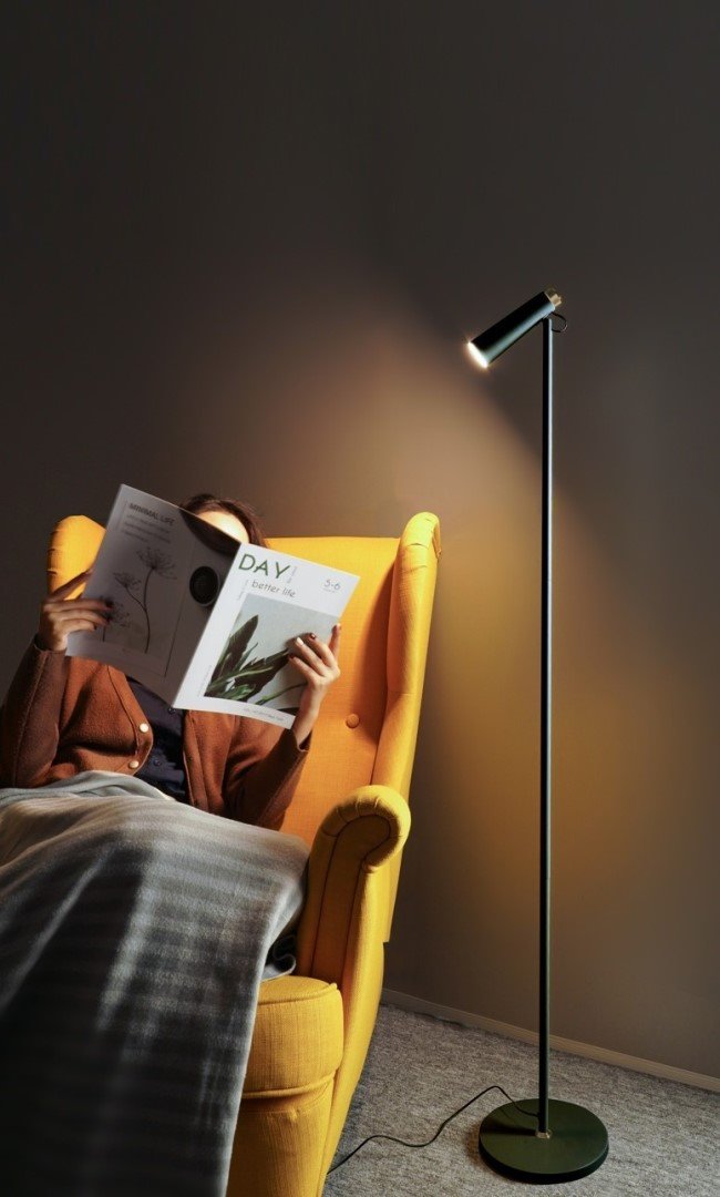 Stojacia lampa LED Immax TIT, čierna so zlatými prvkami, CCT