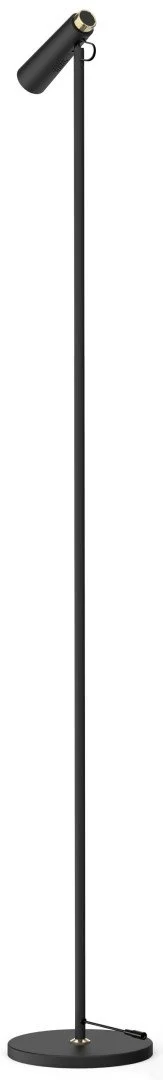 Stojacia lampa LED Immax TIT, čierna so zlatými prvkami, CCT