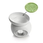 Tescoma Vonný vosk FANCY HOME 3x 25 g, Arganové květy  