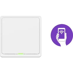 Tesla Smart Switch ZigBee