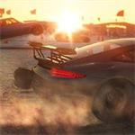 The Crew Wild Run Edition elektronická licence