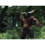 The Elder Scrolls IV Oblivion Game of the Year Edition Deluxe