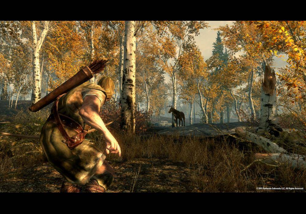 The Elder Scrolls V Skyrim Elektronická licencia
