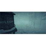 The Long Dark Survival Edition