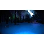 The Long Dark Survival Edition