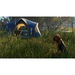 theHunter Call of the Wild Bloodhound