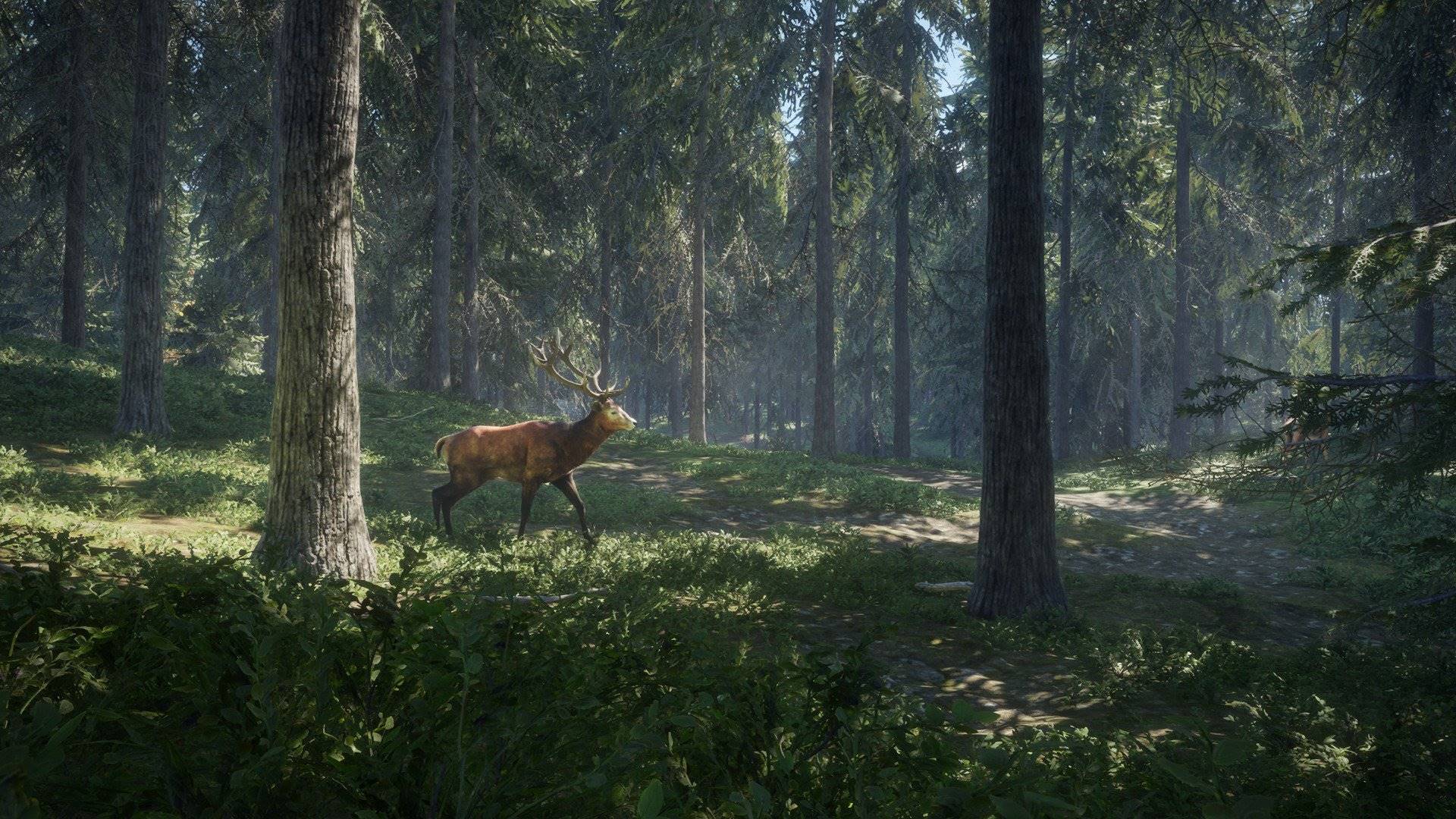 theHunter Call of the Wild elektronická licencia