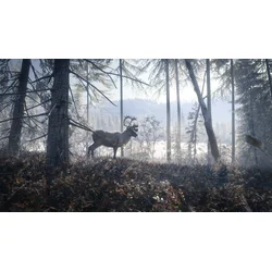 theHunter Call of the Wild Medved-Taiga