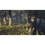 theHunter Call of the Wild Parque Fernando