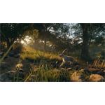 theHunter Call of the Wild Rancho del Arroyo