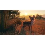theHunter Call of the Wild Rancho del Arroyo