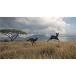 theHunter Call of the Wild Vurhonga Savanna