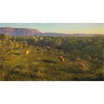 theHunter Call of the Wild Vurhonga Savanna
