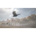 theHunter Call of the Wild Wild Goose Chase Gear