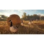 theHunter Call of the Wild Wild Goose Chase Gear