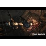 Tomb Raider Survival Edition