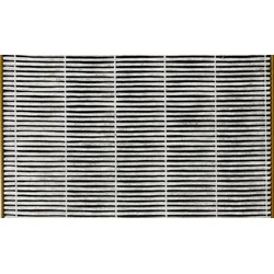 Toshiba filtr do čističky vzduchu CAF-X116XPL (1ks) CAF-H70(W) - Čističky vzduchu